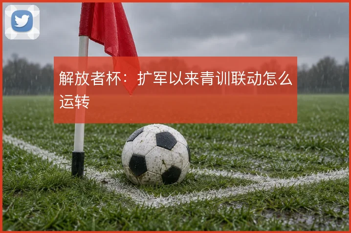 解放者杯：扩军以来青训联动怎么运转