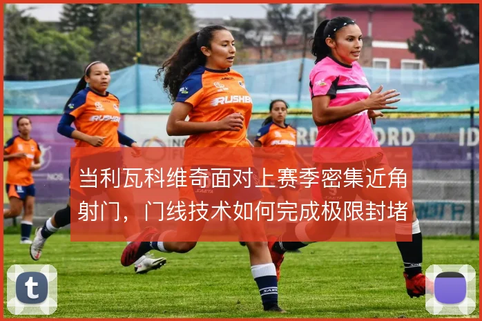 当利瓦科维奇面对上赛季密集近角射门，门线技术如何完成极限封堵