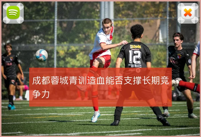成都蓉城青训造血能否支撑长期竞争力